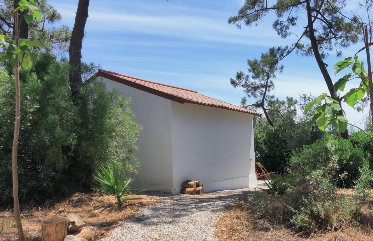 Quinta Do Alento Bed & Breakfast Sesimbra Exterior photo